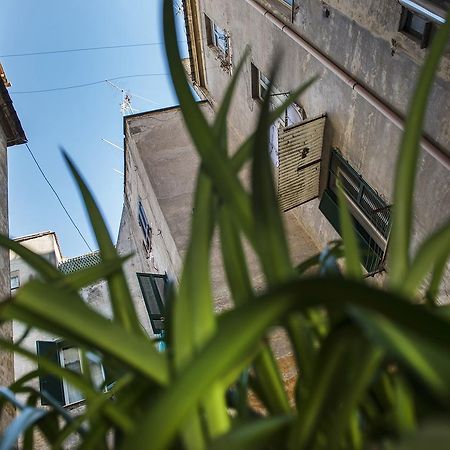 Obelus Bed & Breakfast Roma Dış mekan fotoğraf