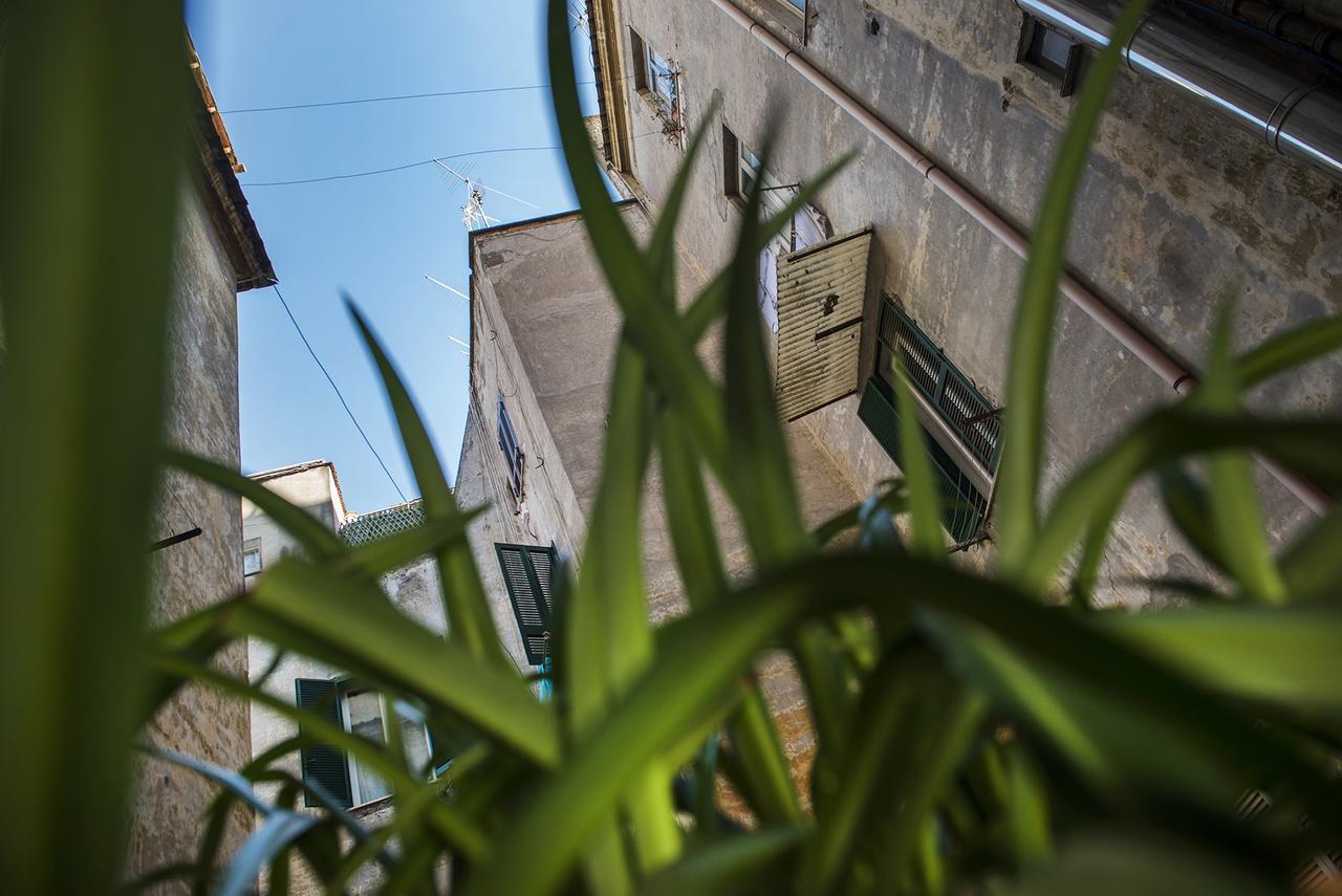 Obelus Bed & Breakfast Roma Dış mekan fotoğraf